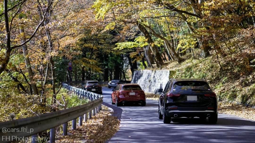 AMG cars lined up by palm trees